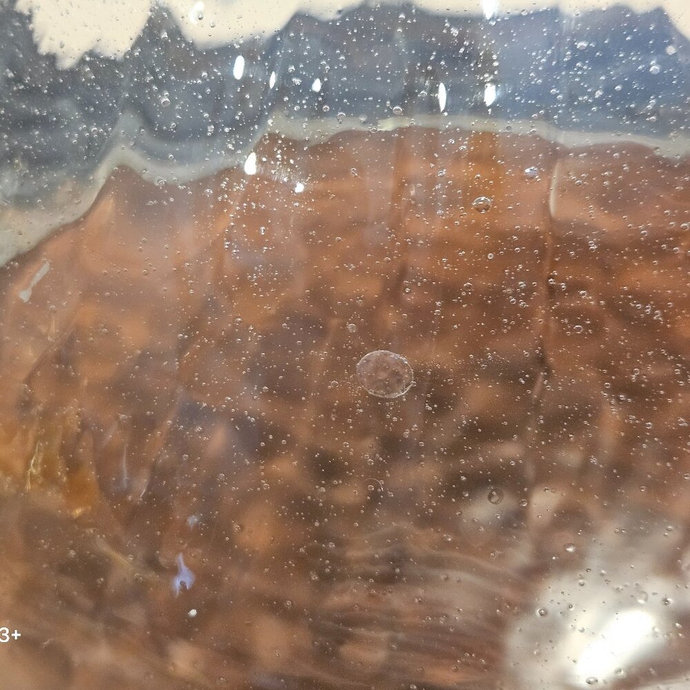 VERY RARE JAN BARBOGLIO HOUSE BLESSING CROSS CLOCHE DOME SERVER TRAY IRON FORGED - Picture 15 of 15